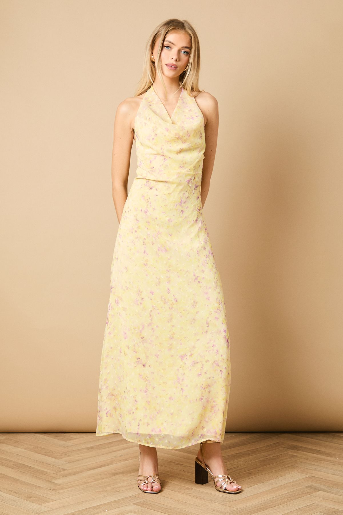 Printed Mesh Dobby Halterneck Dress