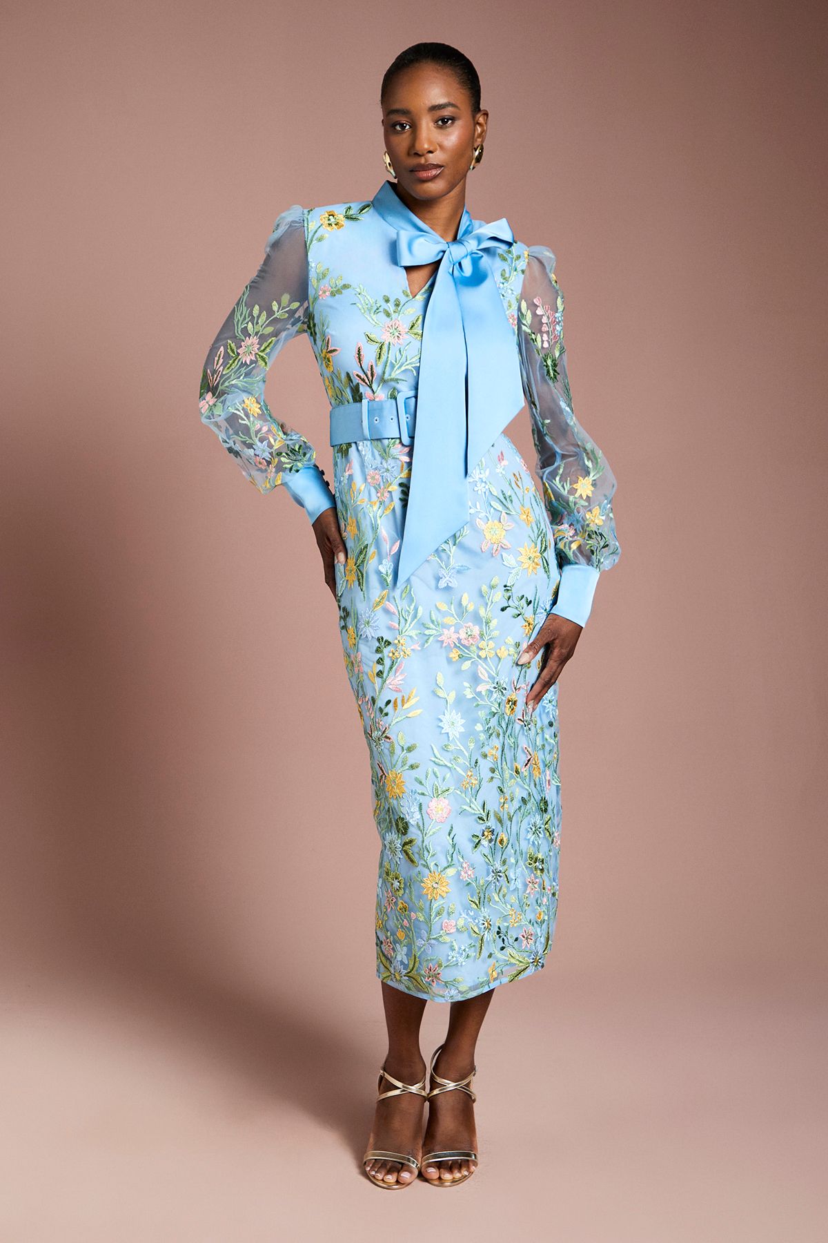 Embroidered Mesh Pussybow Midi Dress