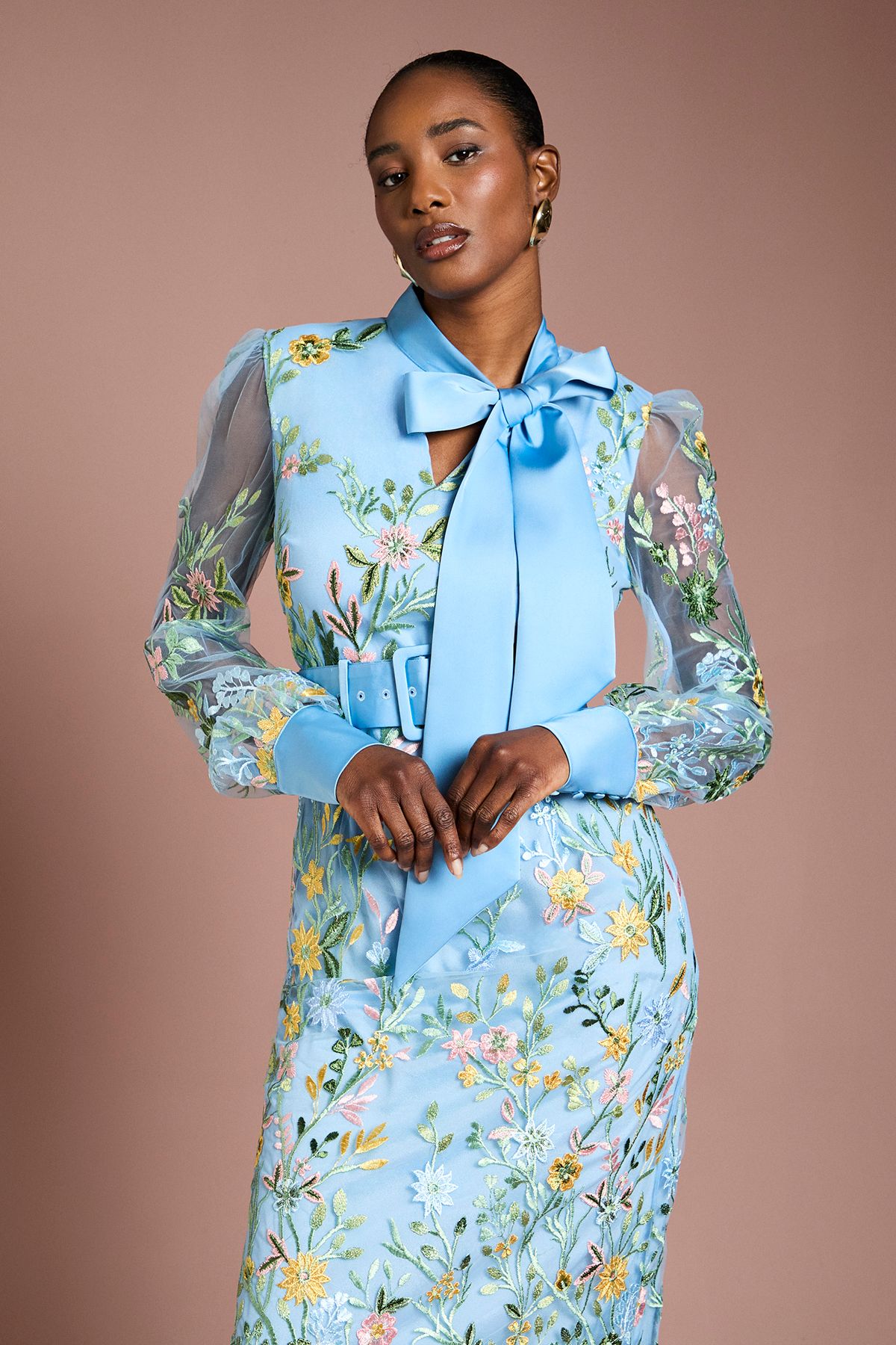 Embroidered Mesh Pussybow Midi Dress - Image 2