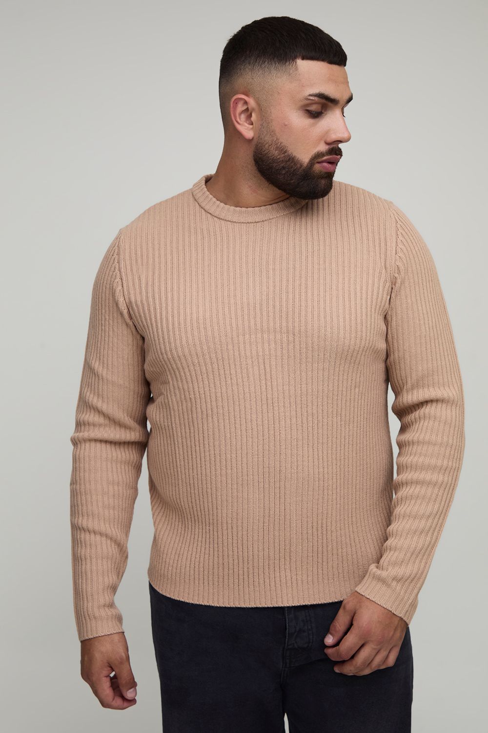 Plus Basic Regular Fit Ribbed Knitted Jumper