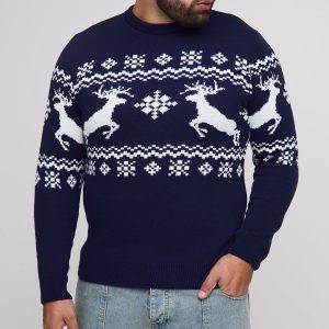 Plus Reindeer Fair Isle Panel Regular Fit Christmas Jumper