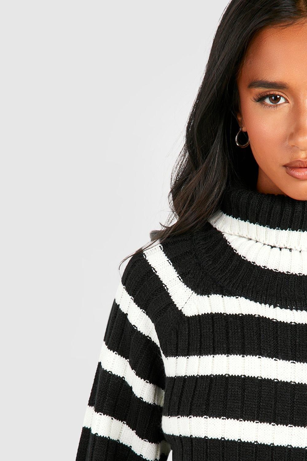 Petite Roll Neck Wide Sleeve Stripe Jumper Dress - Image 4