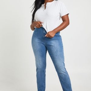 Plus Basic High Waist Skinny Jean
