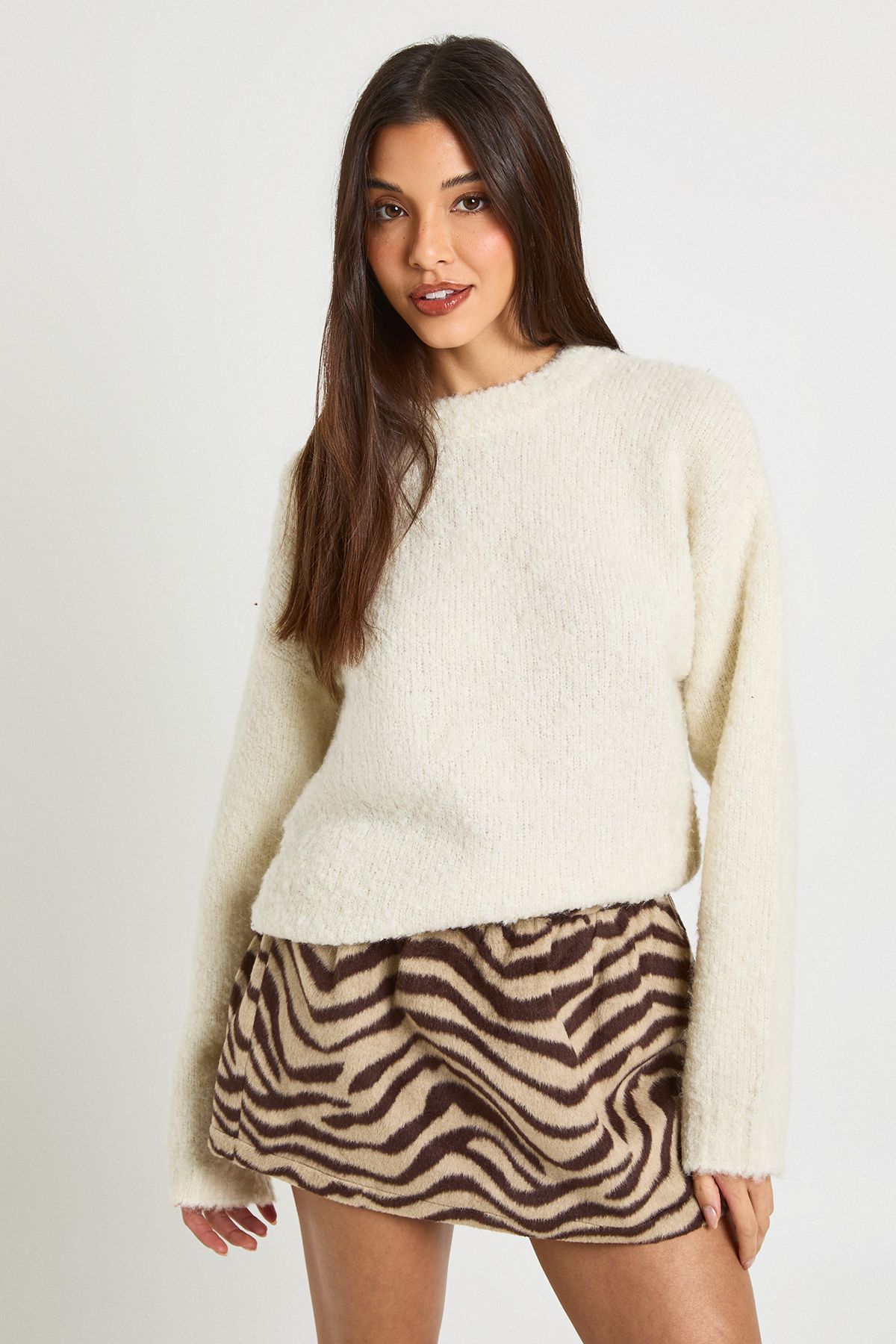 Zebra Wool Look A-line Mini Skirt - Image 3